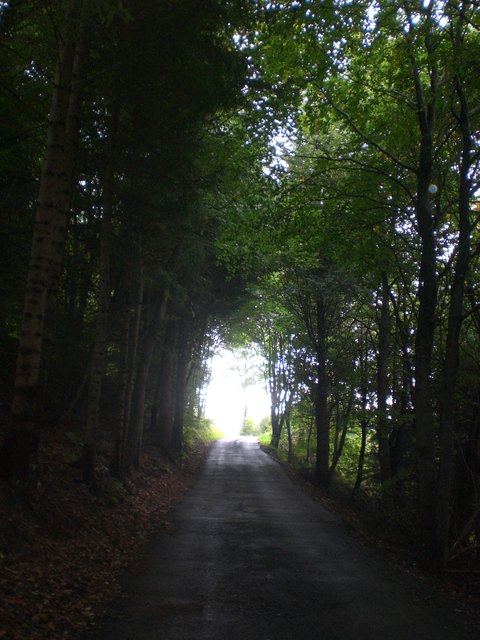 Licht am Ende des Tunnels, in vielen Lebenslagen...