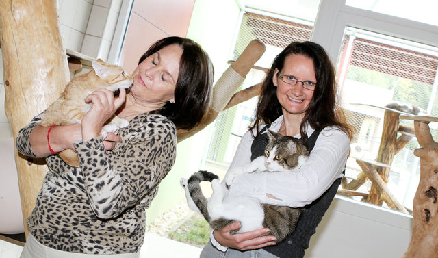 Tierfans: Marina Zuzzi-Krebitz und Andrea Wicht mit zwei Katzen