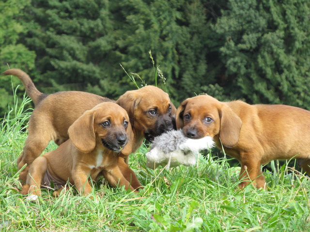 Frecher Nachwuchs ;)