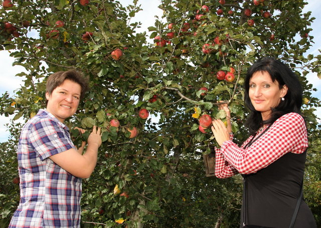 Laut den Expertinnen darf frisches Obst nicht fehlen.