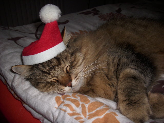 Ob Ostern oder Weihnachten....mir egal......