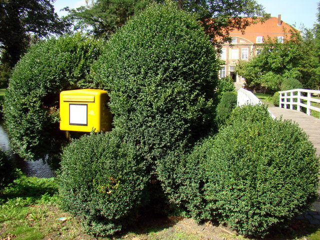 Der Buchsbaumzünsler treibt in Europa erst seit einigen Jahren sein Unwesen.