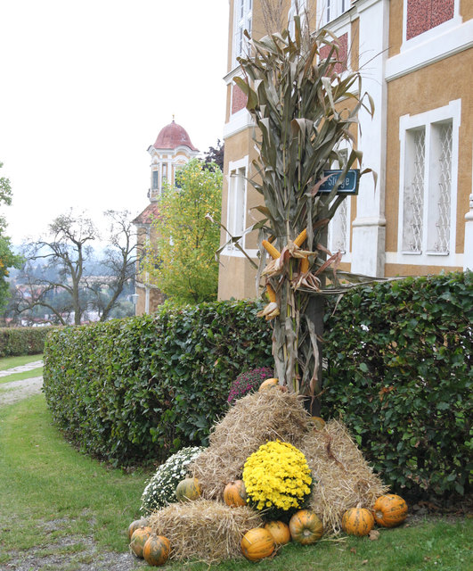 Blickfang beim Schlosseingang