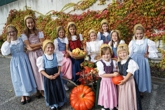 Elf auf einen Streich: Die Jugendlichen der Goldhaubengruppe Losenstein.