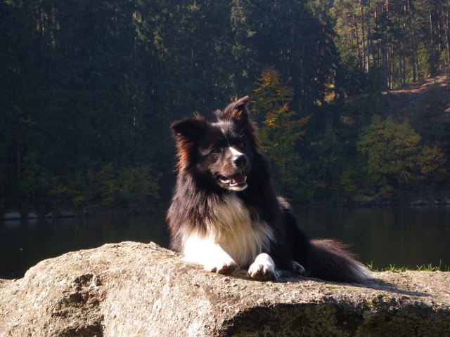 Fotopause am Ottenstein-Stausee/Waldviertel