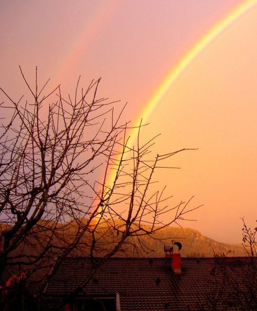 Regenbogen von Helmuth Treffner
