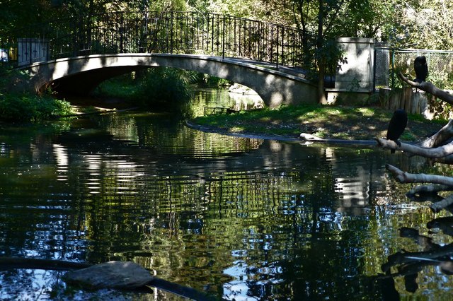Die Brücke beim Vogelteich