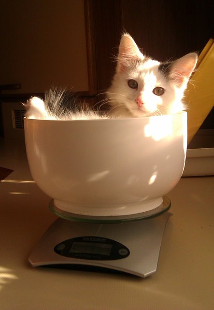 Nelly's Lieblingsplatz