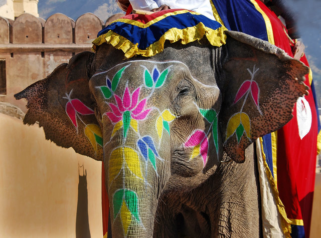Farbenfroh und lebendig wird das Leben in Indien praktiziert.