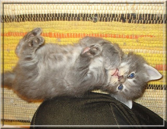 Jetzt bin ich schon 4 Wochen alt