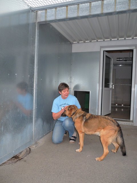 Elisabeth Platzky mit einem Hund bei den gefährlichen Zwischenwänden.