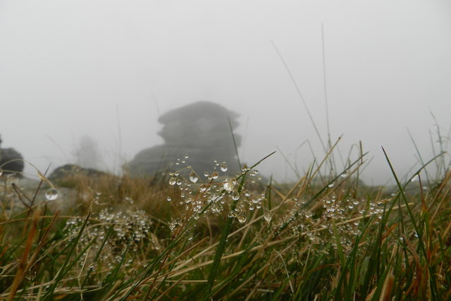 Unser Hausberg, der Teufelstein ist sogar bei Nebelwetter eine Wanderung wert und wenn man genau hinschaut, sieht man andere wunderbare Dinge, statt blauen Himmel und Sonnenauf- und untergänge.