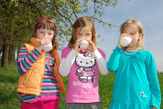 Täglich trinken 42.500 Kinder in 850 Schulen und Kindergärten Schulmilch von den 26 OÖ. Schulmilchbauern. | Foto: LK OÖ