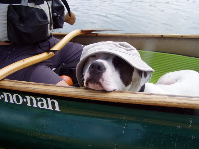 Hoffentlich ist diese Paddelsaison bald zu ende.....