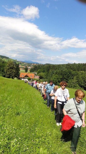 Die stürmische Wanderung in Ligist, eine Mischung aus Natur und Kulinarik.