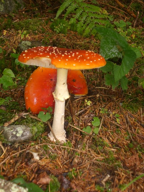 da hat schon jemand geknabbert uiiiii....