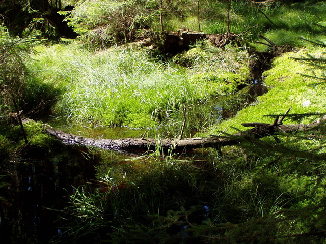 Augustwanderung im wunderschönen Waldviertel