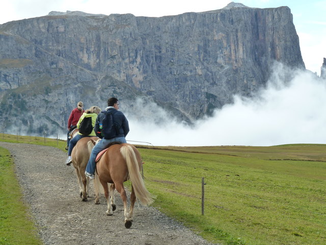 Wer nicht zu Fuß gehen will kann auch reiten