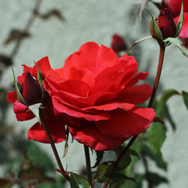 4. Oktober 2012
