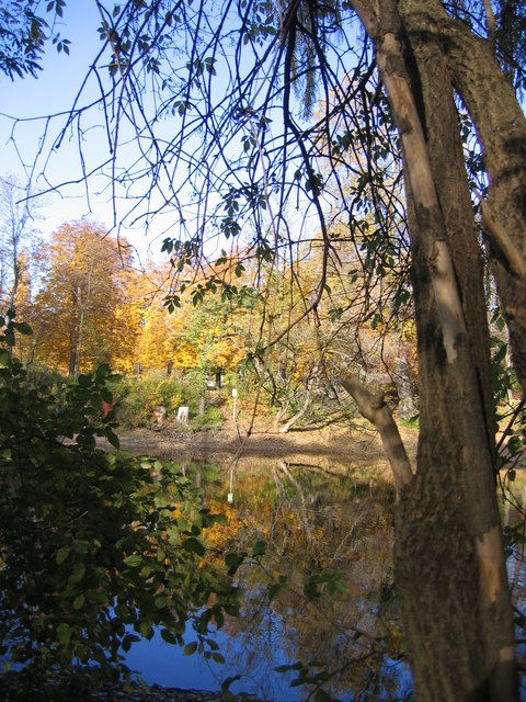 Herbst in der Wiener Praterau