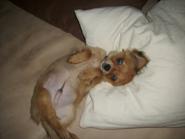 ...bin soooooo müddddeee