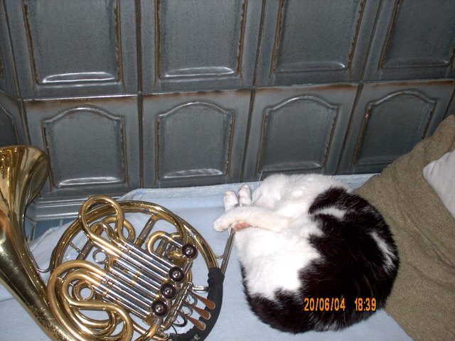 Muizi bei der tägl. Probe - Hubert Fuchs