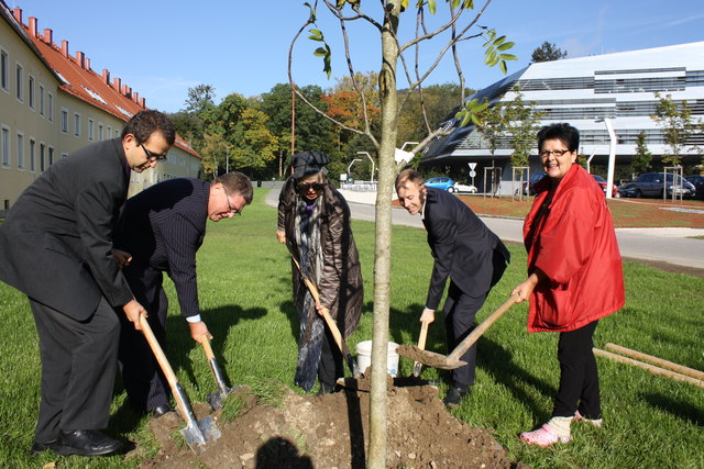 Erich Viehböck (Bereich Technik), Universitätsdirektor Josef Schmied, Ingrid Krammer, Operation Manager Alexander Freischlager und Brigitte Chiste (v. l.) bei der Baumpflanzung. | Foto: JKU