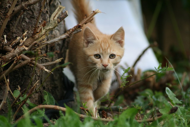 Unsere Hexe auf Erkundungstour!