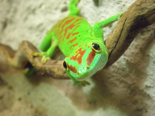 Hast du was zu Essen?