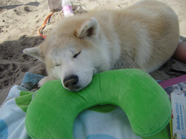 Relaxing am Strand...