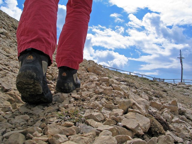 Bei regelmäßiger Ausführung wirkt sich Wandern positiv auf den Fettstoffwechsel und auf das Immunsystem aus.