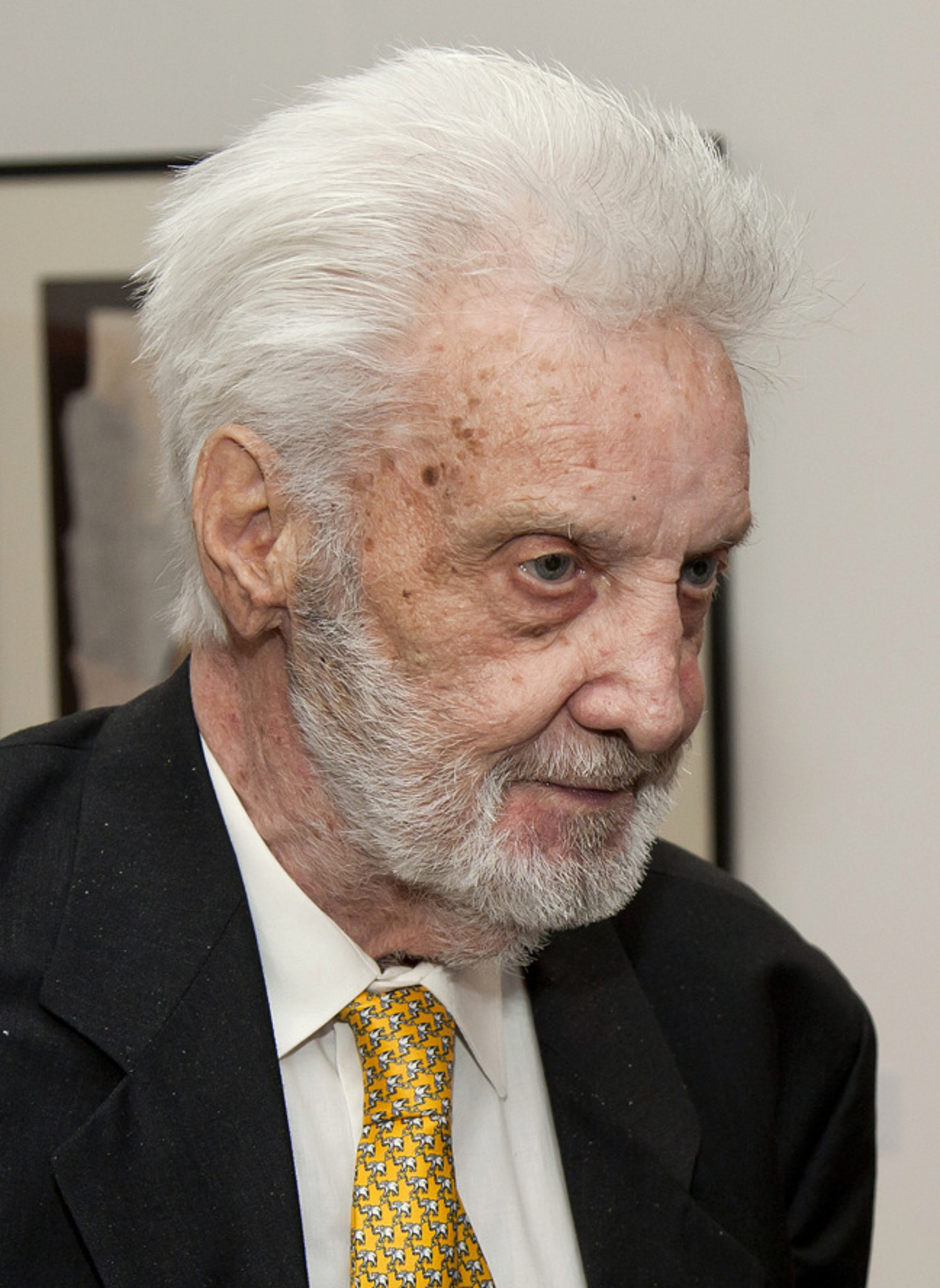 Maler Jakob Anton Bucher verstorben Kitzbühel