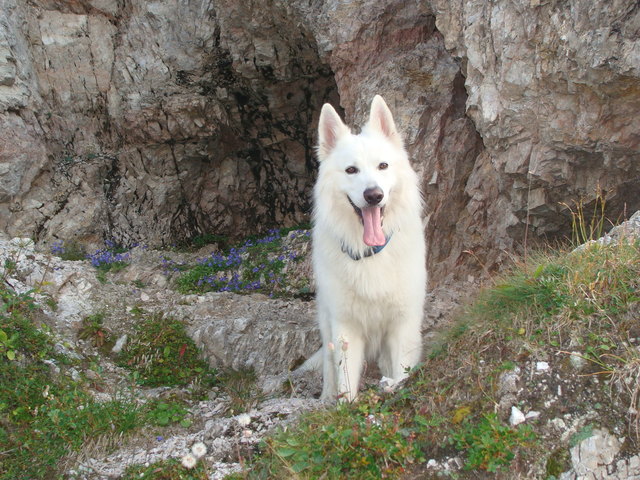 In den Bergen ist es schön