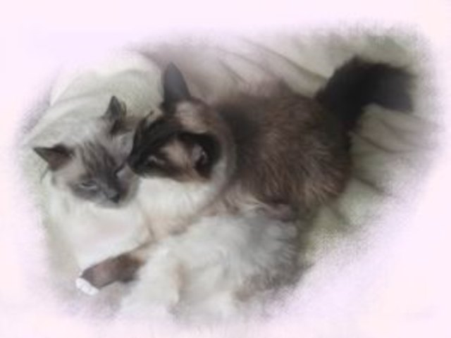 unsere 2 Verlebten Gino und Tino