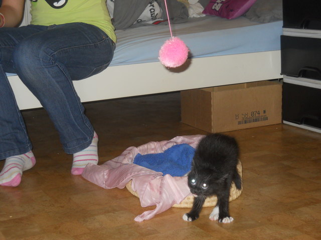 Jetzt werd ich aber richtig sauer auf diesen Ball!