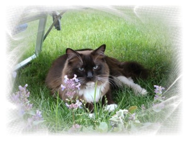 bitte recht freundlich