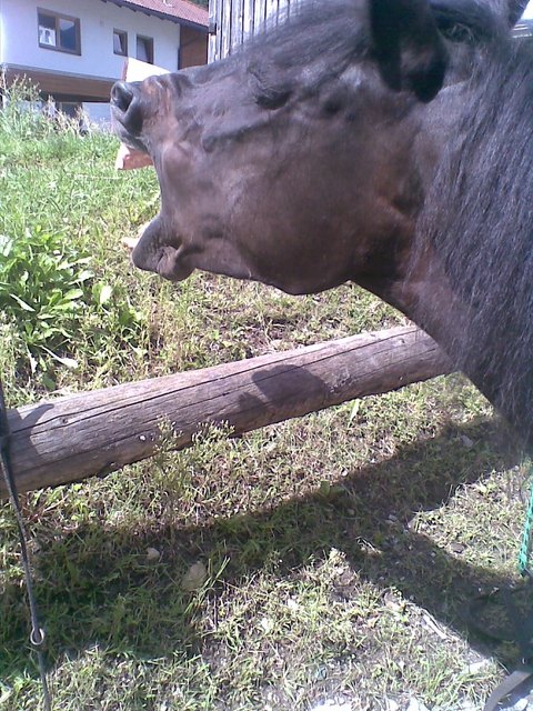 bin ja soooo müde ;o)