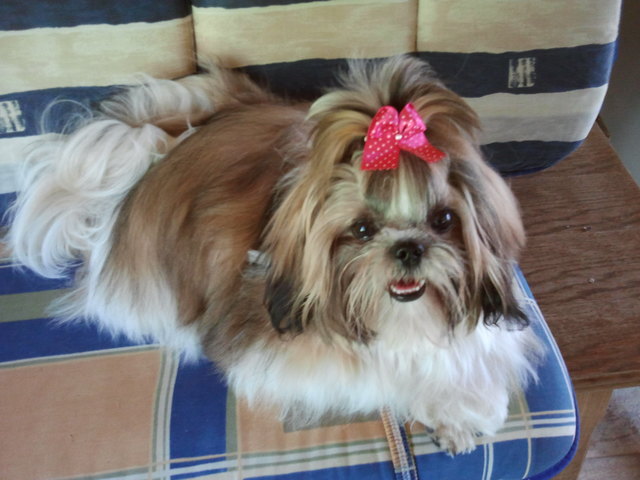 Unser hübscher Schatz "Daisy"!