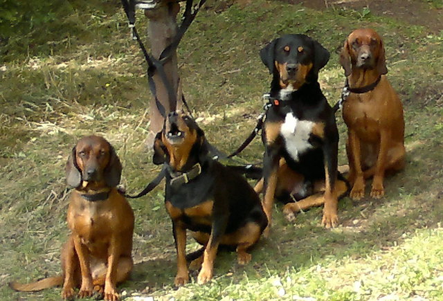meine Kinderlein :-)