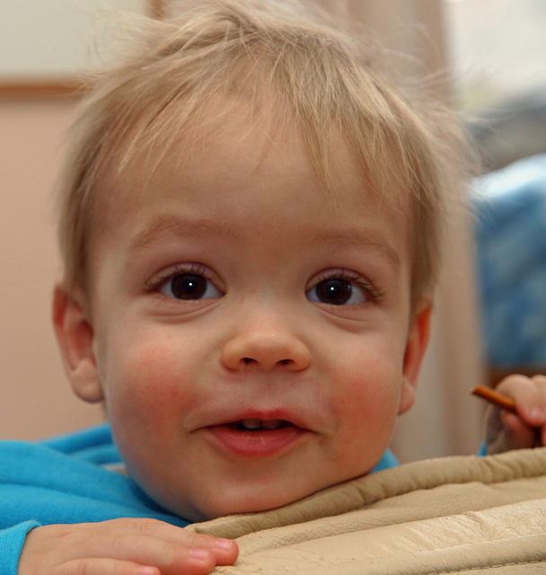 MAXI DER KLEINE SCHELM