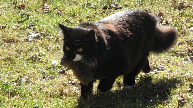 er ist der liebste....leider nicht zu Mäusen