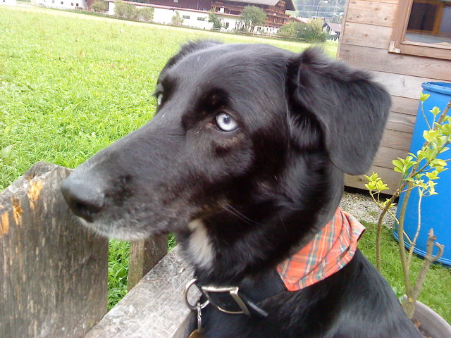 Mal schaun was bei den Nachbarn so los ist !!