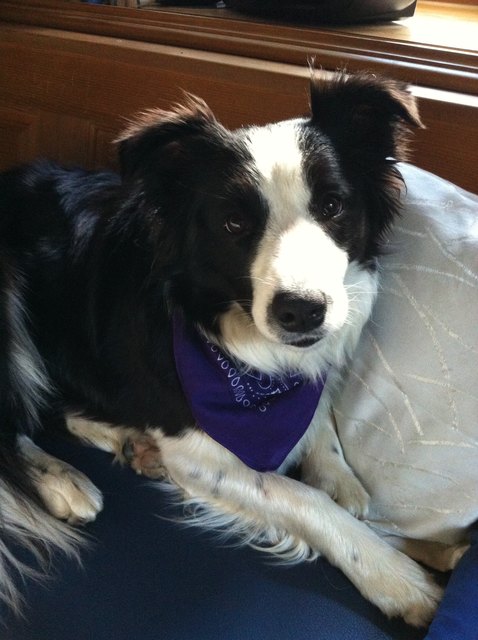 Unsere Prinzessin Bella