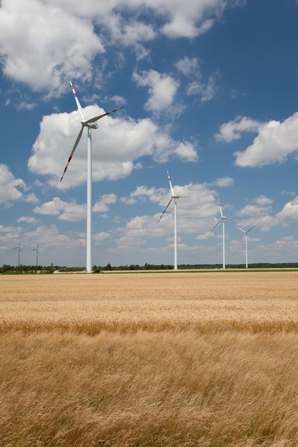Österreichs Kornkammer - das Marchfeld - wird zunehmend zur Windparkzone.