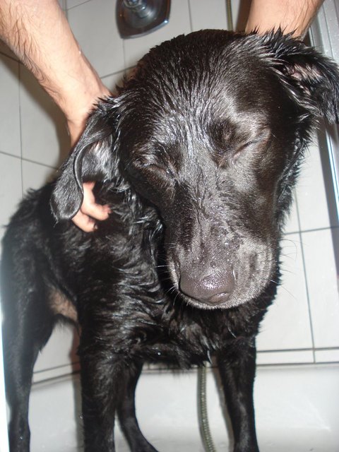 Ich liebe es geduscht zu werden