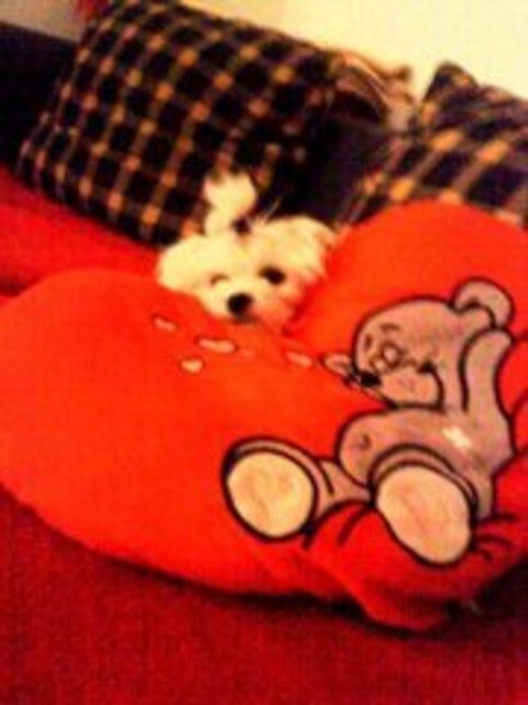 ich bin sooo müde :-)