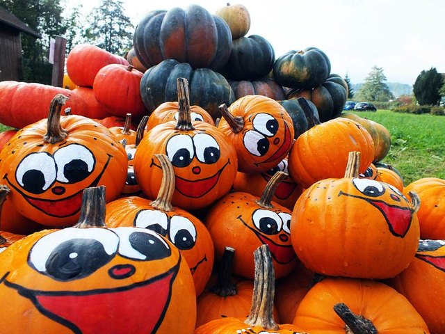 Foto August Schwertl :Er gehört zum Herbst wie das bunt gefärbte Laub der Bäume.