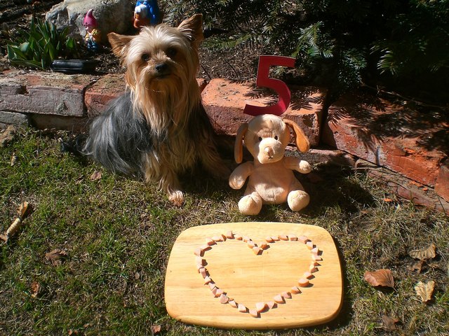 Beeile Dich mit knipsen,die Fleischwurst ist so lecker!