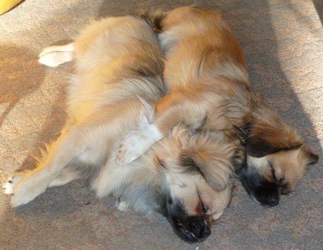 Wir sind soooo müde...!