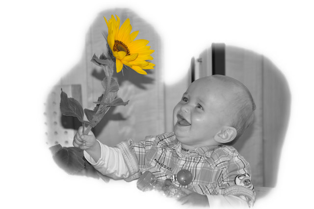 eine Sonnenblume für Kilian von Oma zum 1. Geburtstag
